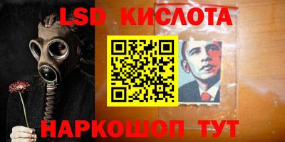 гашик Донецк