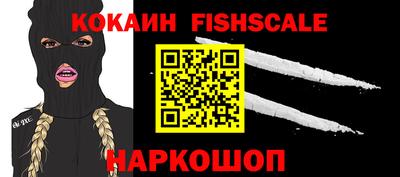 гашик Донецк