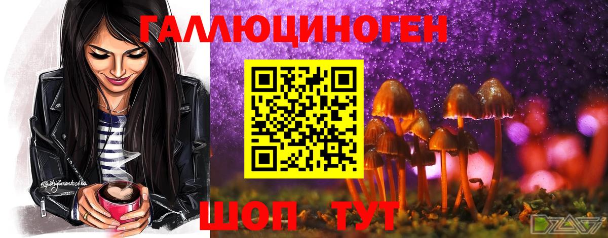 Псилоцибиновые грибы MAGIC MUSHROOMS  купить   Михайловка  Вход с VPN 