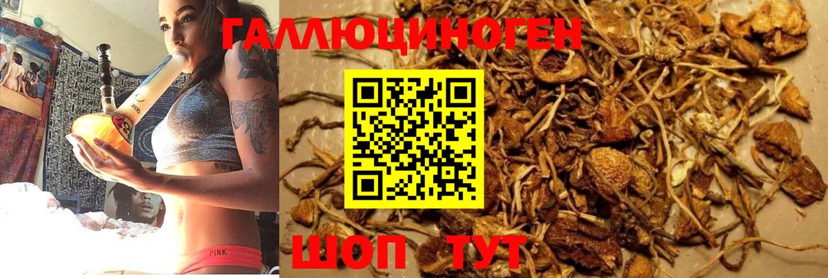 Псилоцибиновые грибы мухоморы Михайловка